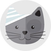 Veterinærforsikring katt